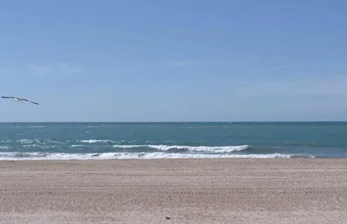 Piso En La Caleta شقة